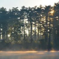 Winton Woods Campground ico