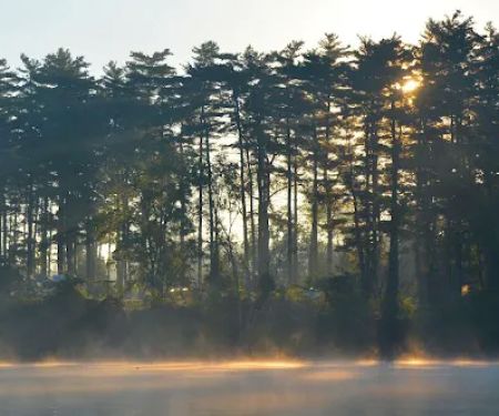 Winton Woods Campground