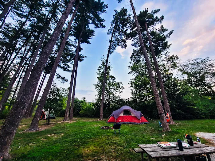 Winton Woods Campground Picture 5