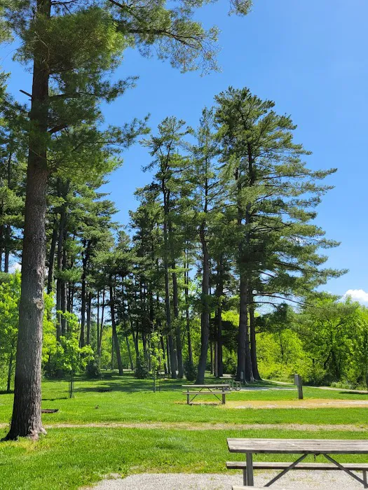 Winton Woods Campground Picture 10