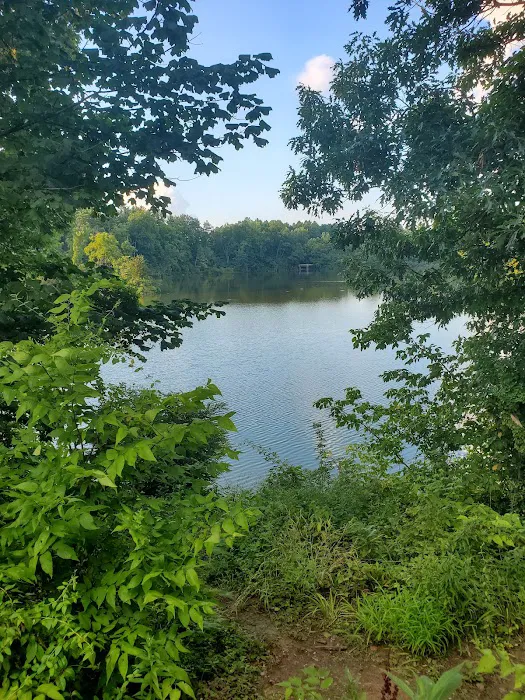 Winton Woods Campground Picture 8