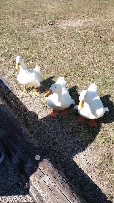 Indian Springs Campground LLP Picture 4