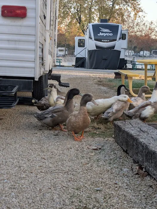 Indian Springs Campground LLP Picture 8