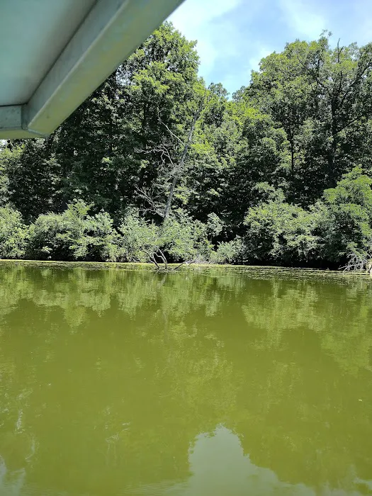 Miami Whitewater Forest Campground Picture 8