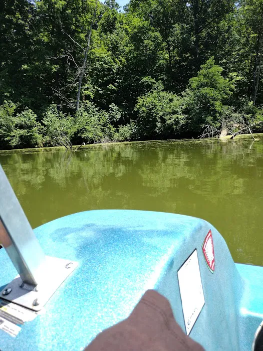 Miami Whitewater Forest Campground Picture 6