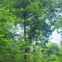 Miami Whitewater Forest Campground ico