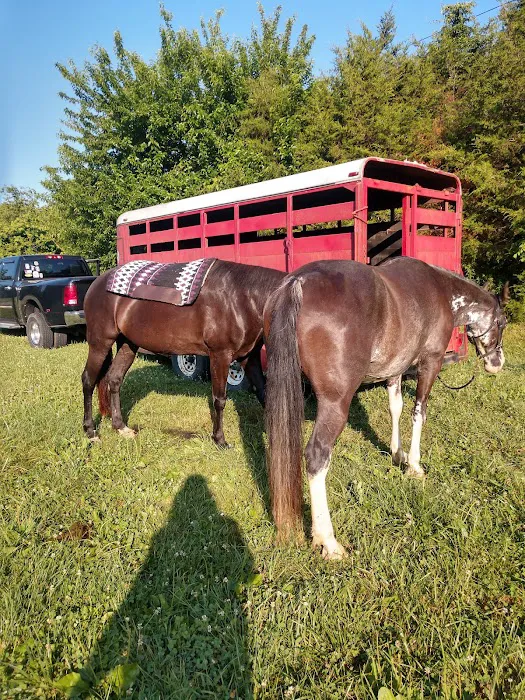 Reservoir horse trail camp Picture 10