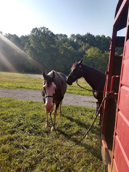 Reservoir horse trail camp Picture 5
