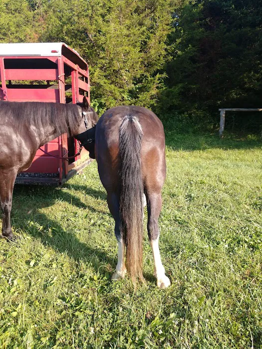 Reservoir horse trail camp Picture 7