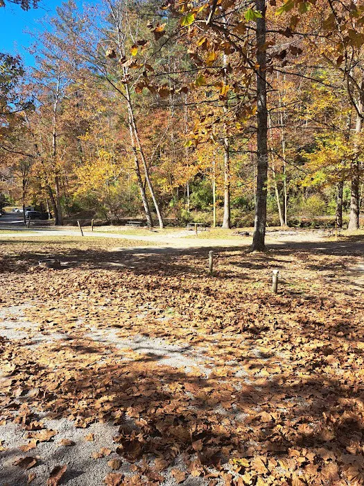 Whittleton Campground Picture 9