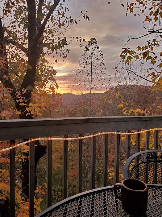 Mountain Rose Cabin Picture 1