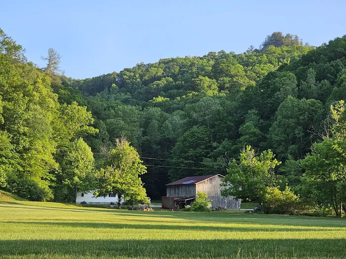 Red River Gorge Campground Picture 6