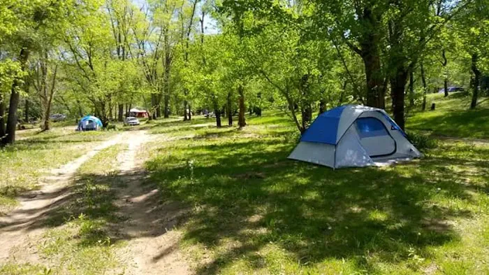 Red River Gorge Campground Picture 10