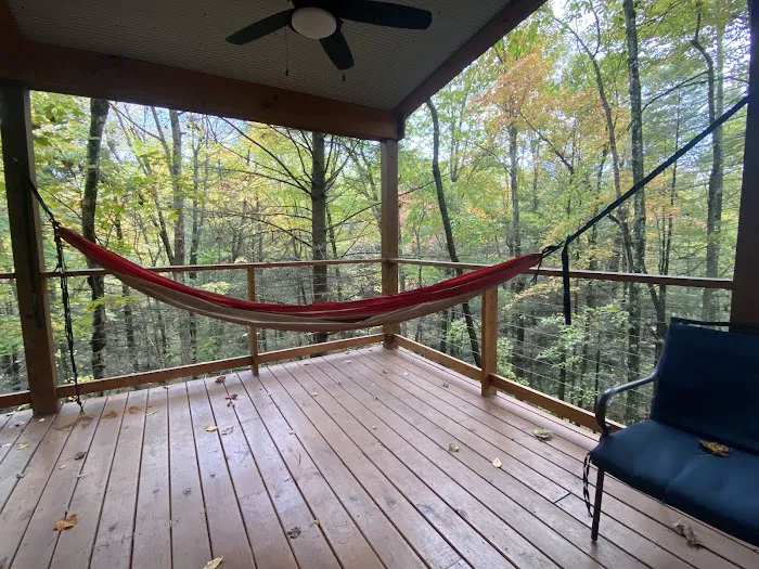 The Birdhouse Cabin Picture 2