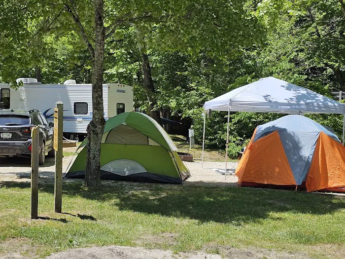 Middle Fork Campground Picture 4