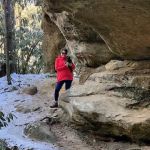 Sherwood Forest Cabin