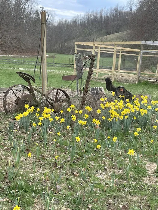 Morning Dew Farm Picture 4