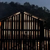 Morning Dew Farm ico