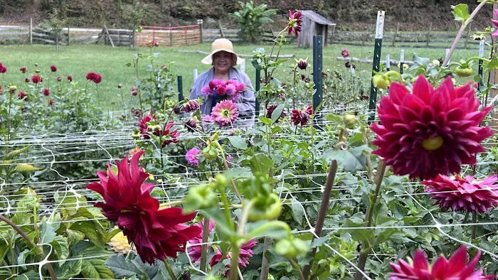 Morning Dew Farm Picture 5