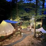 Beneath the Beech Trees