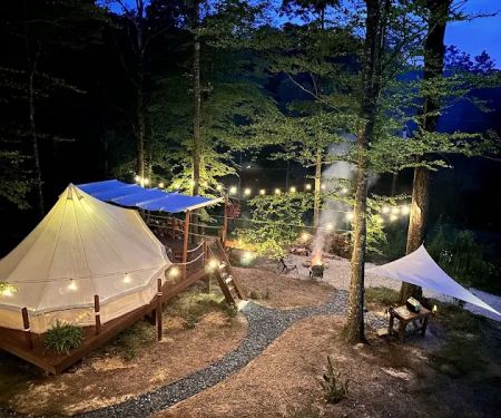 Beneath the Beech Trees