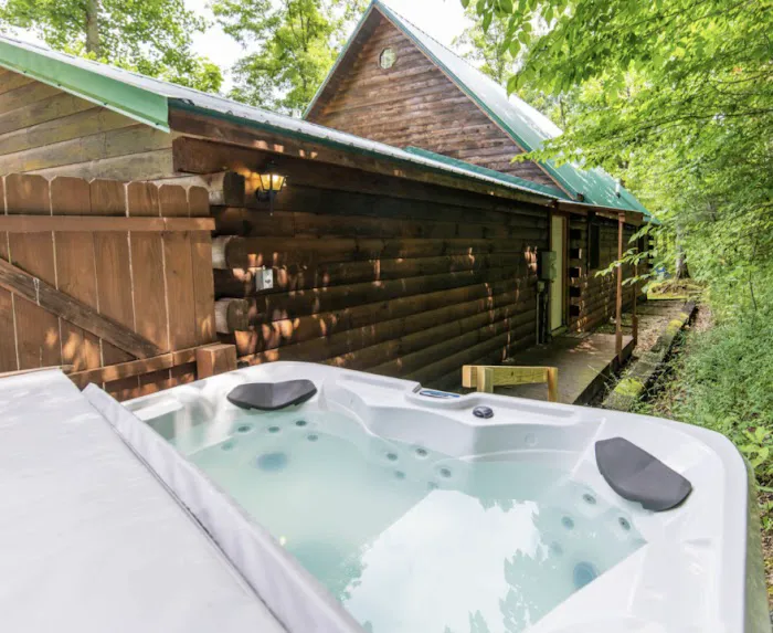 Bear Run Cabin Picture 2