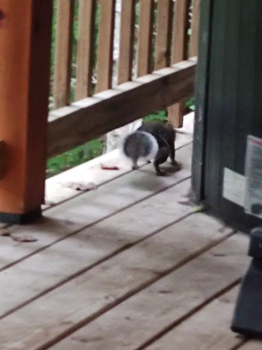 Cozy Canopy Picture 1