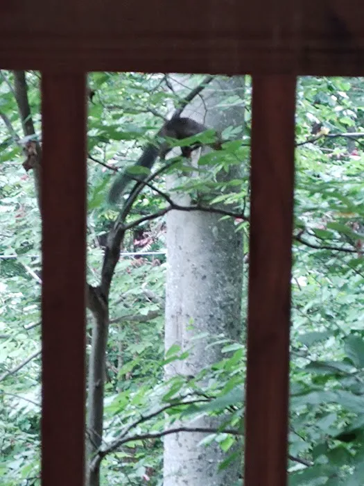 Cozy Canopy Picture 2