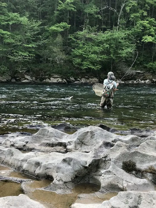 Camp Stonefly Picture 5
