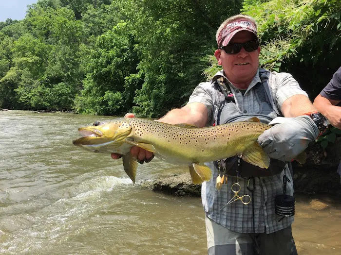 Camp Stonefly Picture 9