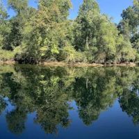 Maddock Island ico