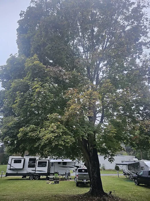 Bristol Raceway Camping Picture 9