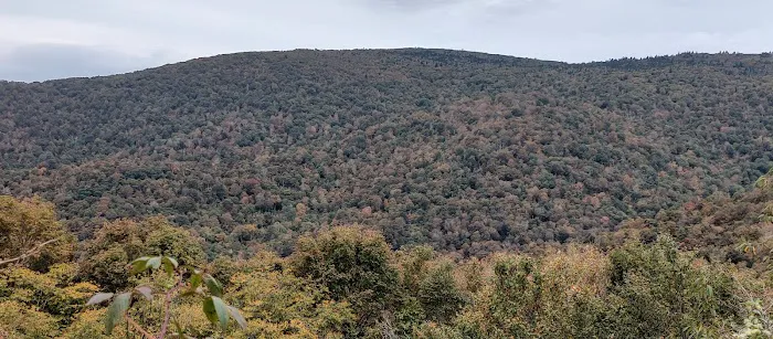 Stan Murray Shelter - Appalachian Trail Picture 2