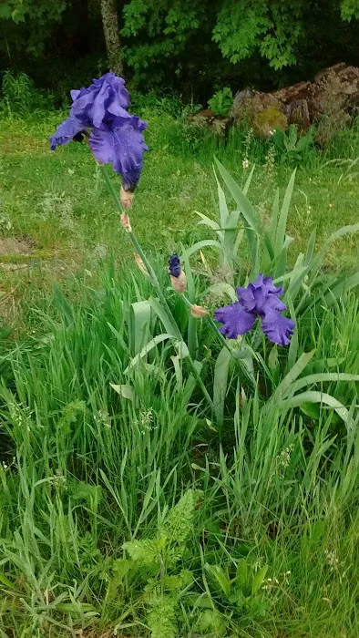 Living Waters Campground Picture 5