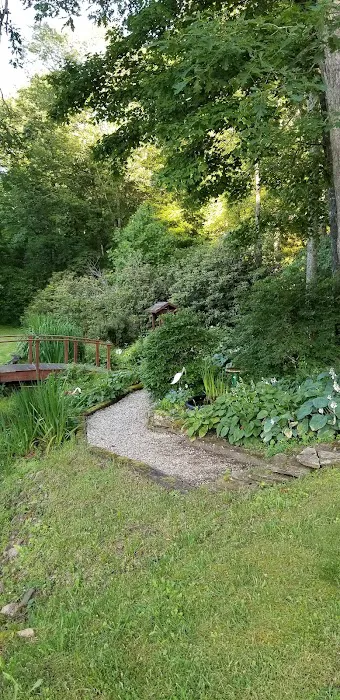 Spruce Pine Campground Picture 9