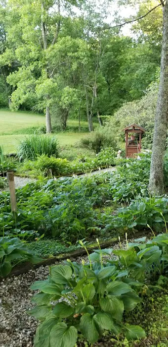 Spruce Pine Campground Picture 8