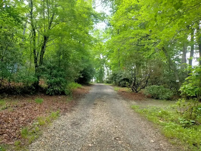 Spruce Pine Campground Picture 6