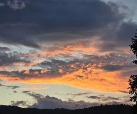 Armstrong Creek RV Park