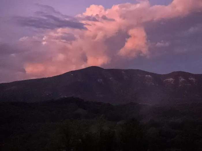 Armstrong Creek RV Park Picture 2