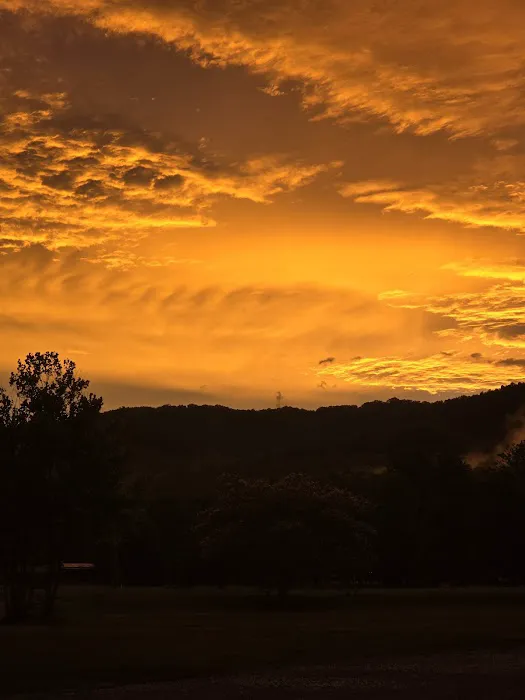 Armstrong Creek RV Park Picture 5