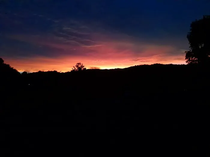 Armstrong Creek RV Park Picture 3