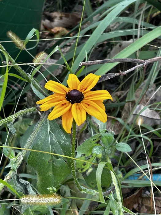 Little Switzerland Cider and Brewery Picture 10