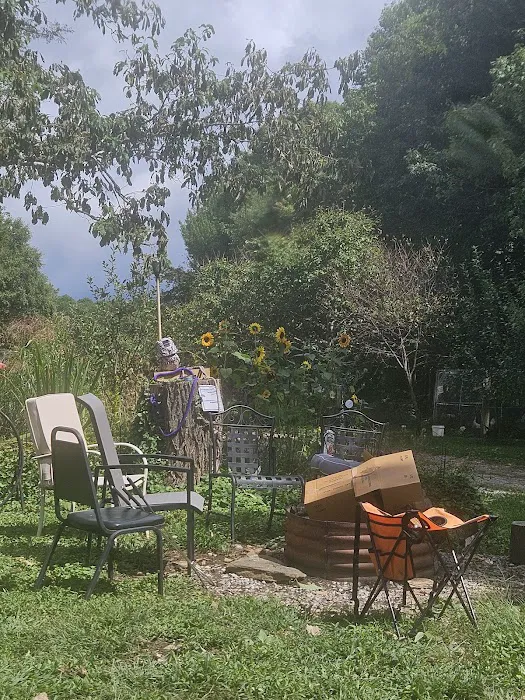 Little Switzerland Cider and Brewery Picture 3