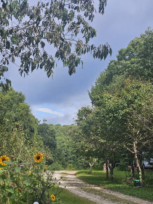 Little Switzerland Cider and Brewery Picture 4