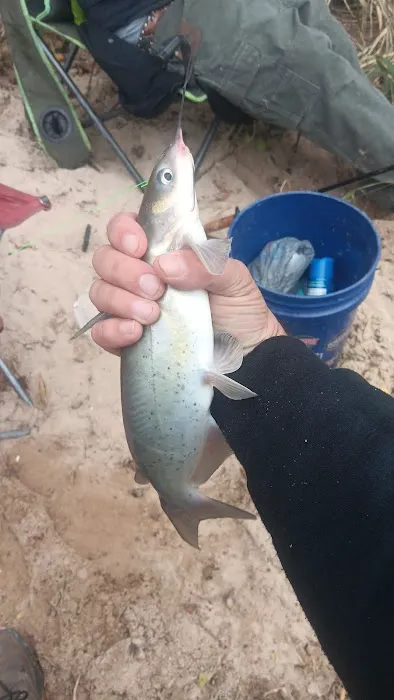 Camp Eagle Ridge Picture 3