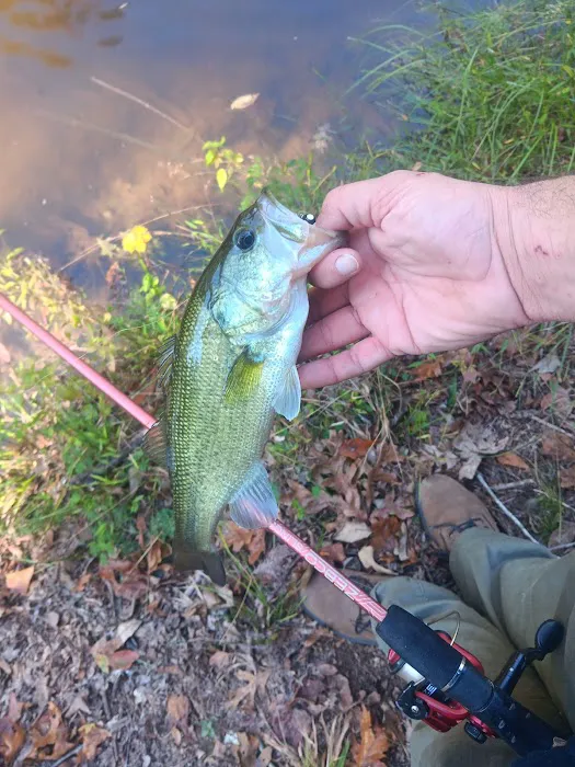 Camp Eagle Ridge Picture 2