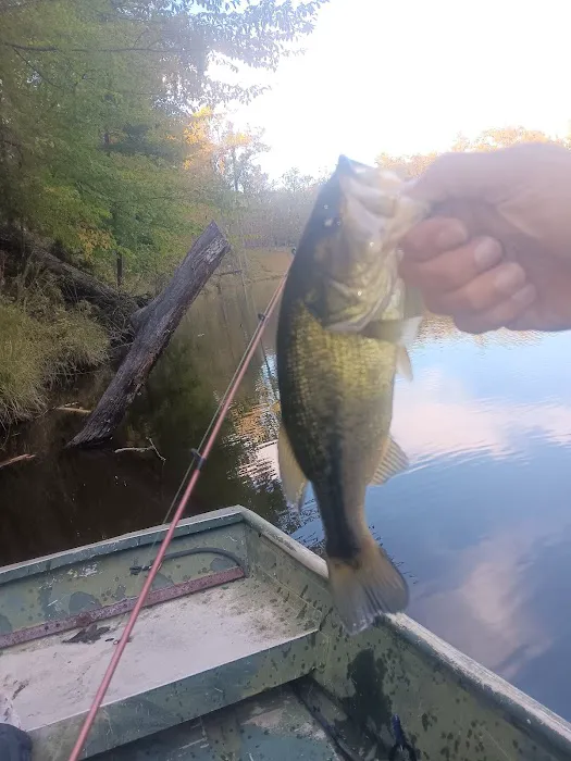 Camp Eagle Ridge Picture 4