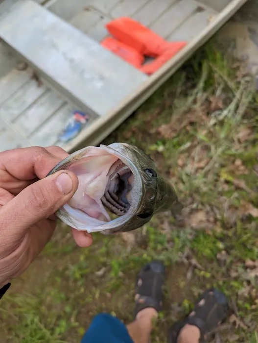 Camp Eagle Ridge Picture 10