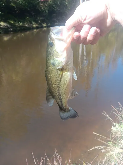 Camp Eagle Ridge Picture 7