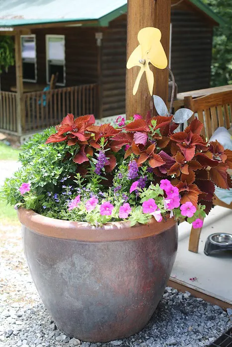 Pine Ridge Campground Picture 3